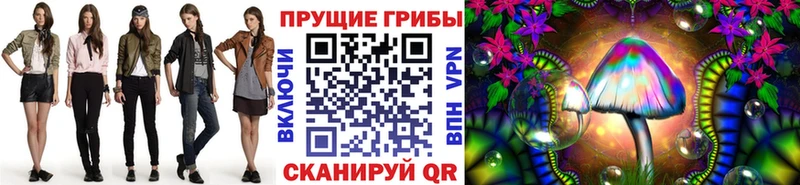 Купить  Торопец  Псилоцибиновые грибы мухоморы 